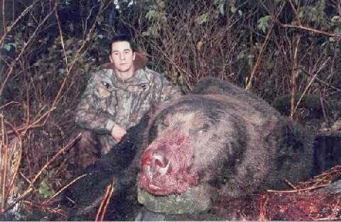 Giant Alaska Grizzly