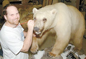 Grolar Bear