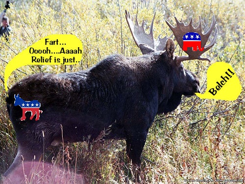 Moose Farts and Burps