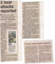 Newspaper Articles on Bears