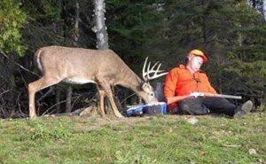 Deer Humor