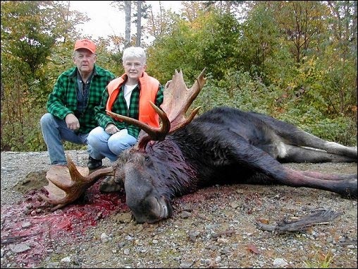Maine Moose Taken by Barbara and Frank Stratton