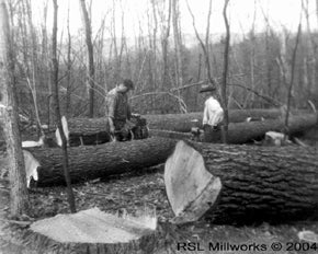 Logging