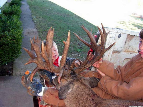 41-point buck
