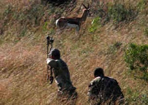 Bowhunting For Antelope