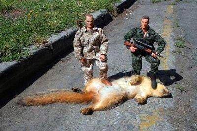 Action Figures Over Squirrel