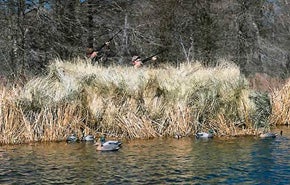 Duck Blind - Duck Hunting
