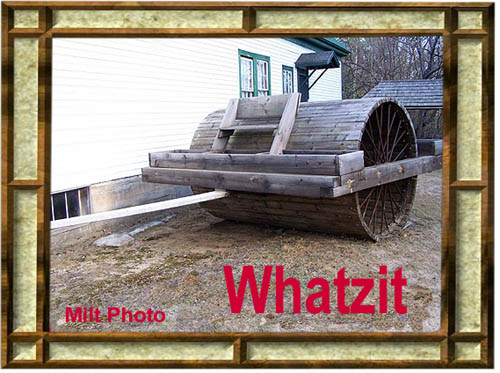 A “Whatzit” photo