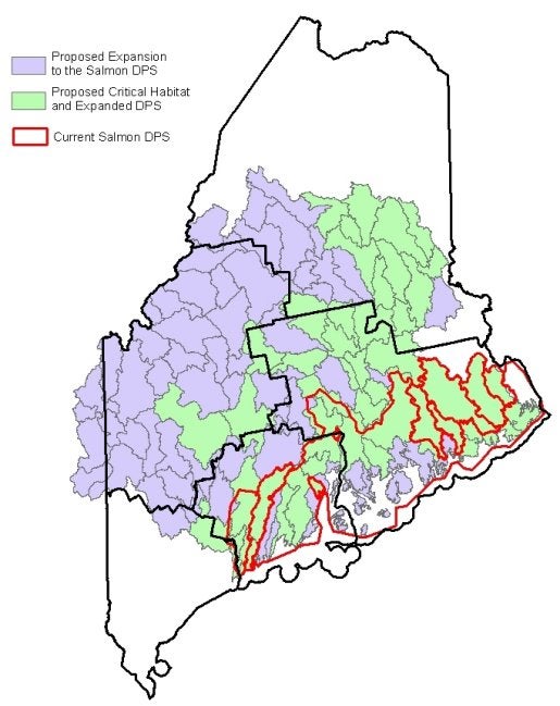 Maine’s Atlantic Salmon Proposal Could Be Costly In Many Ways