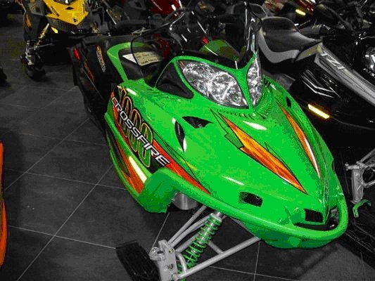 arctic cat