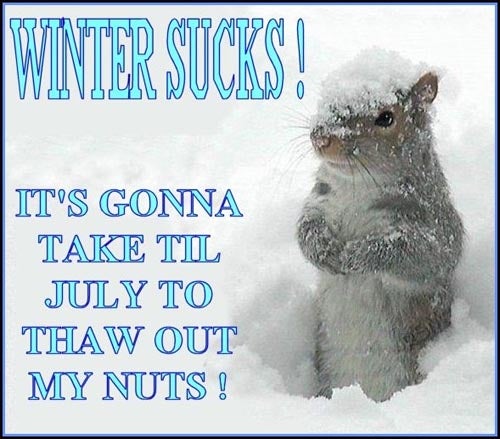 freezing nuts
