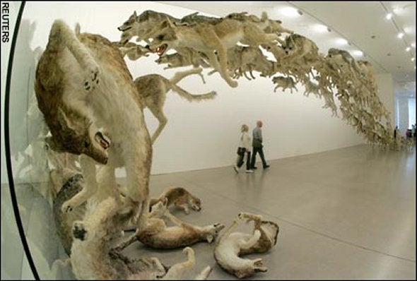 99wolves