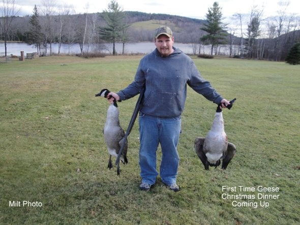 twogeese