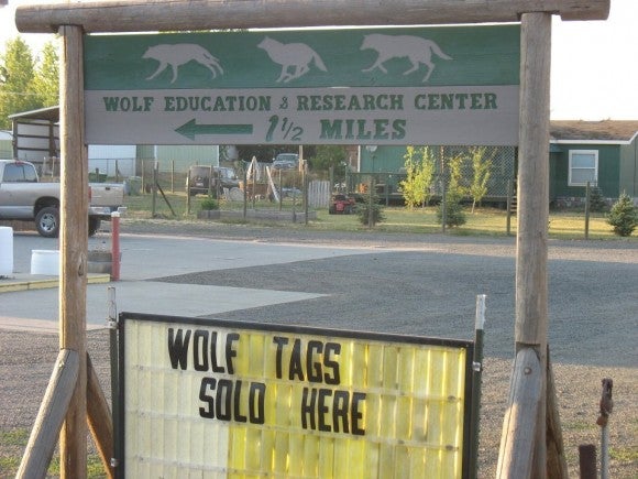 Wolf Tags Sold Here!