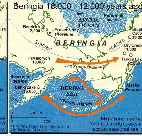 Berringsea