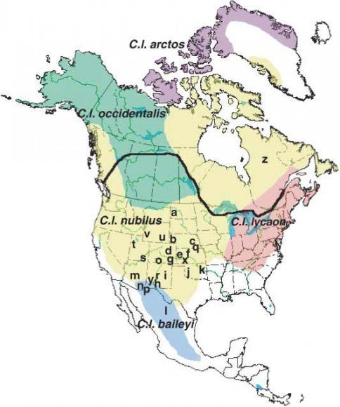 usmapofwolfspecies