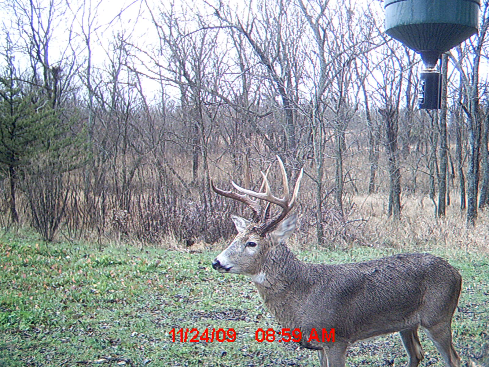 MDGC0193