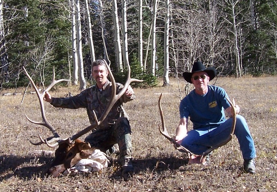 Colorado Bull Elk - 2005