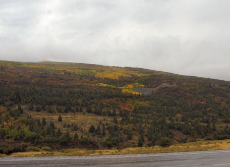 Aspens changing color on the hillsides