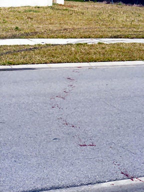 Blood on the street