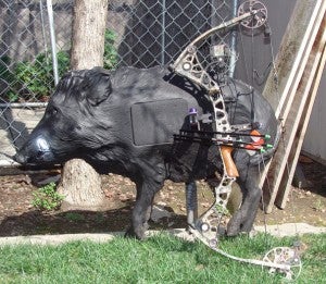 Hog hunting practice