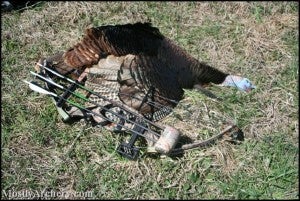 dusty' varmint's 2007 first turkey.