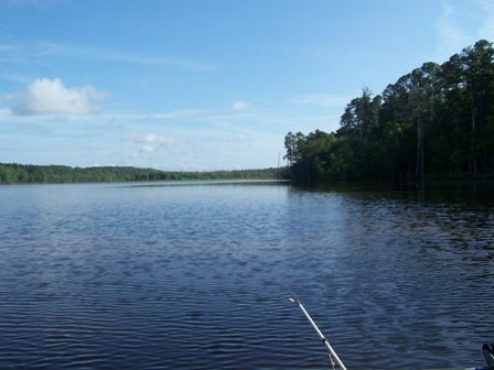 bowfishing-2009-001