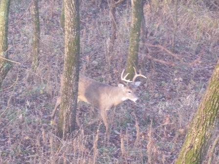 Kansas 2009 005