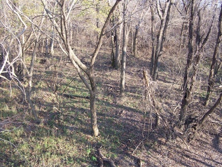 Kansas 2009 026
