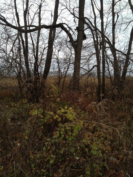 photo (5)