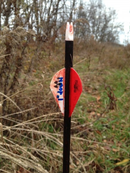 photo(15)