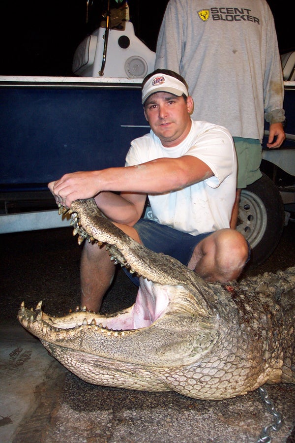 Matt Thornton of Mobile is now in the record book with this 701-pound alligator taken on the first night of the hunt in the Mobile-Tensaw Delta