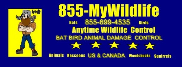 Toll Free Us & Canada 1- 855-MYWildlife