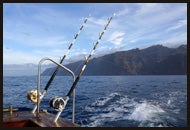 Fishing Blogs