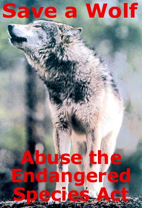 Save a Wolf