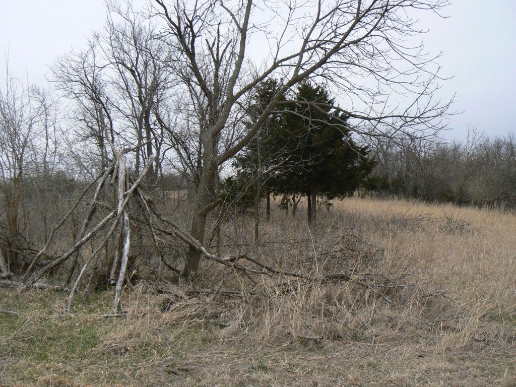 Building And Using A Turkey Feeder