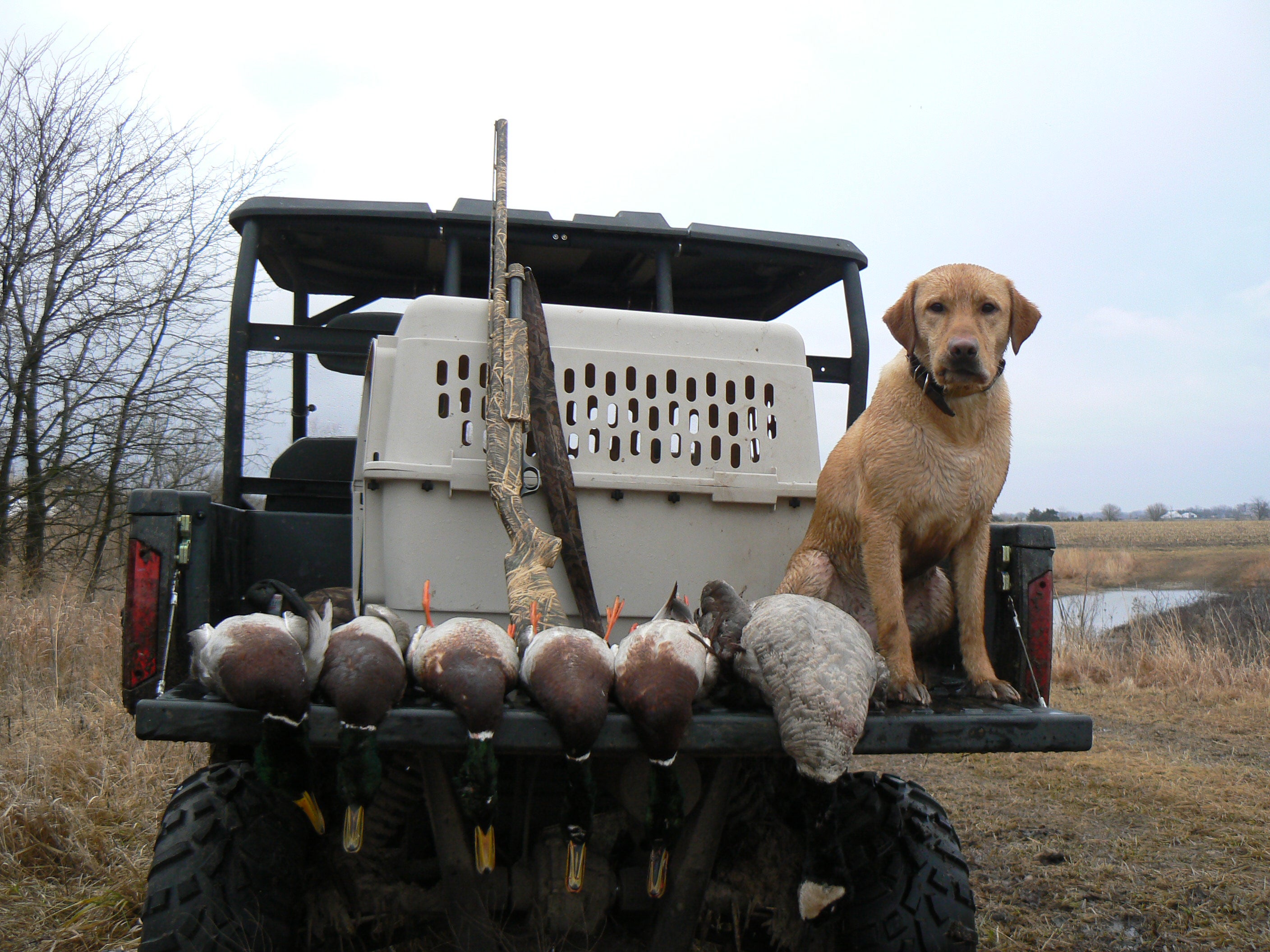 Kansas Late Season Duck Hunting