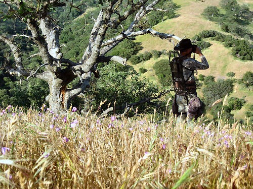 Spot and Stalk is my favorite way to hunt hogs, as well as other big game.