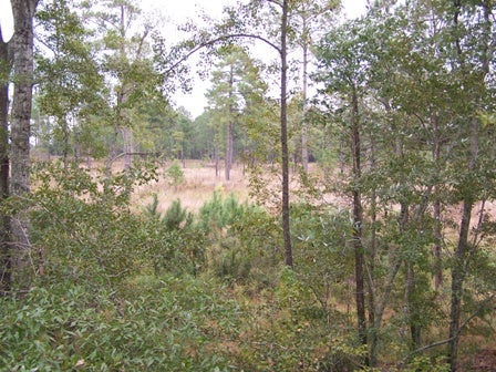 Barbour County Wma Map 10/16/09 – First Hunt Of Alabama Archery Season