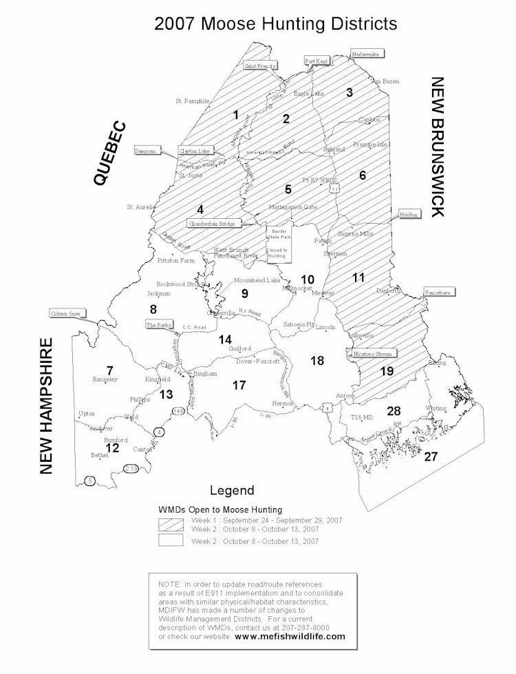 Moose Hunting In Maine…….deadlines approach