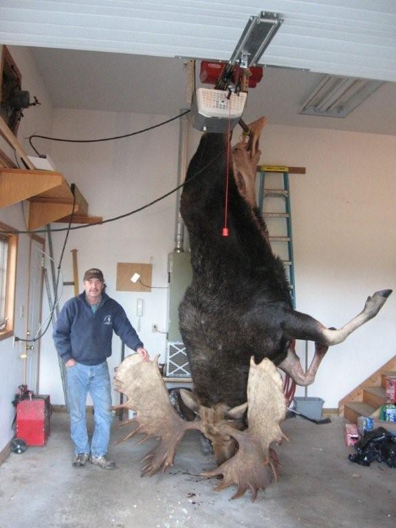 Hanging.....WoW!!!